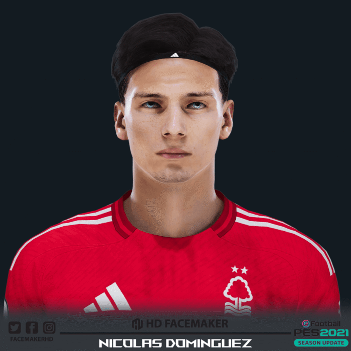 NICOLÁS DOMÍNGUEZ