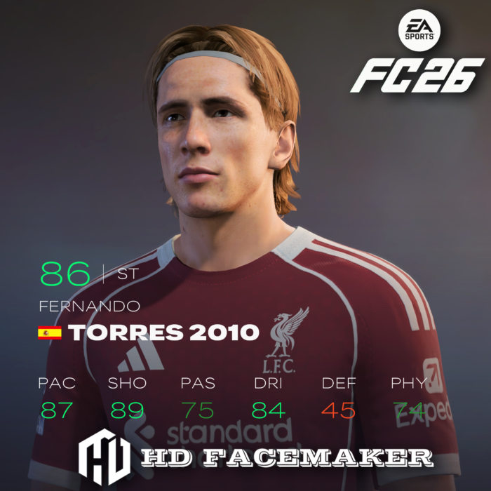FERNANDO TORRES 2010