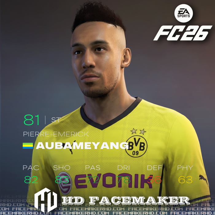 PIERRE-EMERICK AUBAMEYANG 2013