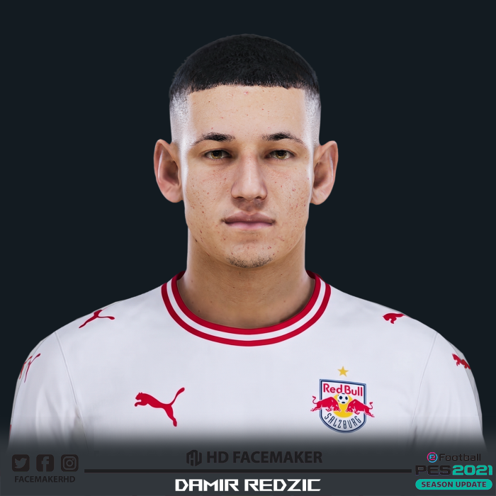 DAMIR REDZIC